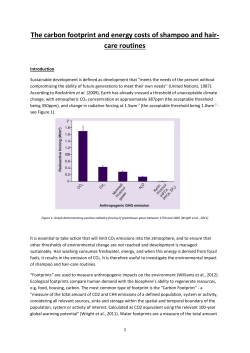 The carbon footprint and energy costs of shampoo and hair