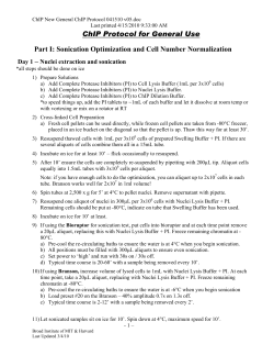 Chromatin Immuno-Precipitation Protocol for