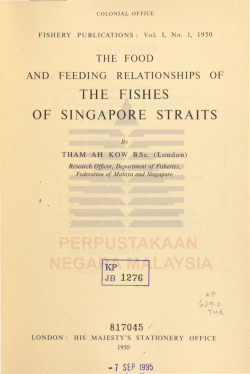 The food and feeding relationships of the fishes of Singapore straits
