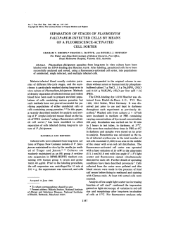 falciparum-infected cells by means cell sorter