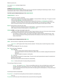 Bio review - chemistry and biological molecules 2