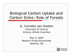 Biological Carbon Uptake and Carbon Sinks: Role of Forests