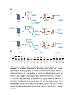 S3 Fig. Strand transfer reaction catalyzed by TrwCR with wt, Rep