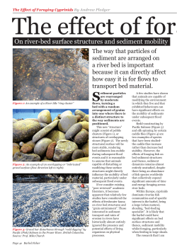 On river-bed surface structures and sediment mobility