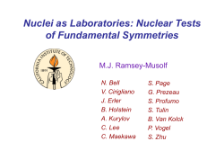 musolf - Institute for Nuclear Theory