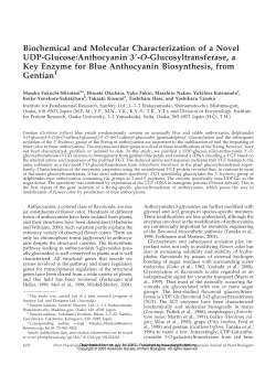 Biochemical and Molecular Characterization of a
