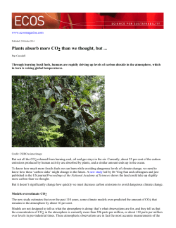 Plants absorb more CO2 than we thought, but
