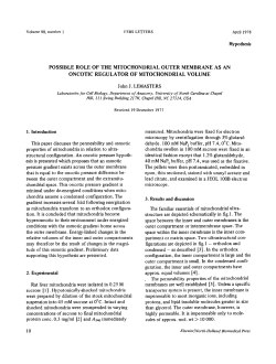 possible role of the mitochondrial outer membrane