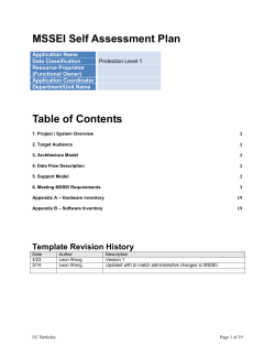 MSSEI Self Assessment Plan Template