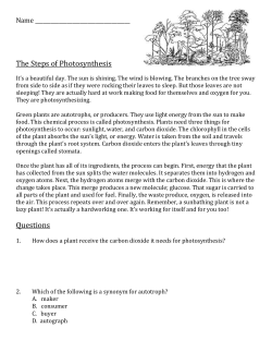 The Steps of Photosynthesis