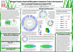 Nitrogen Fixation Island and