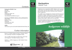 hedgerow wildlife.pub - Derbyshire Wildlife Trust
