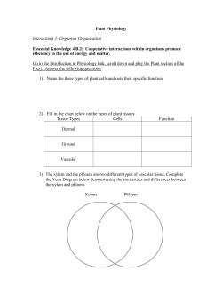 Plant Physiology Questions and Table