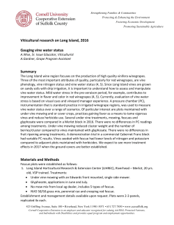 Gauging vine water status