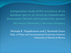 Comparative study of the resistance of six bamboo species to attack