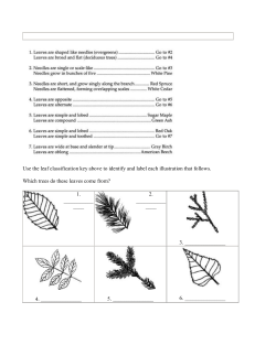 Use the leaf classification key above to identify and label each