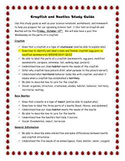 Crayfish and Beetles Study Guide