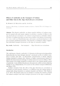 Effects of Amiloride on the Transport of Sodium and Other Ions in the