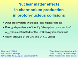 not considering nuclear effects on the PDFs