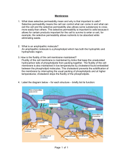 Membranes 1. What does selective permeability mean and why is