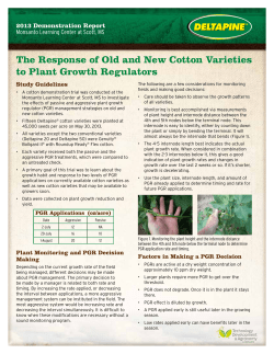 The Response of Old and New Cotton Varieties to Plant