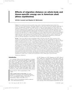 Effects of migration distance on whole-body and tissue
