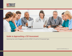 Guide to Approaching a CSF Assessment