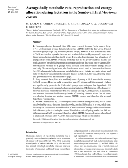 Average daily metabolic rate, reproduction and energy allocation