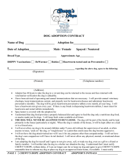 DOG ADOPTION CONTRACT