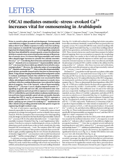 OSCA1 mediates osmotic-stress-evoked Ca2+ increases vital for