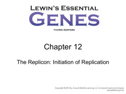 Chapter 12