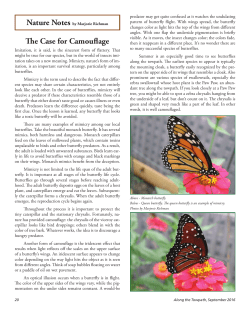 The Case for Camouflage