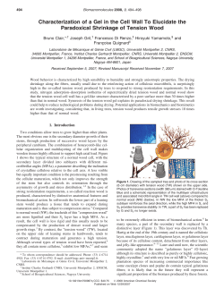 Characterization of a Gel in the Cell Wall To Elucidate the