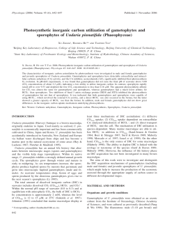 Photosynthetic inorganic carbon utilization of