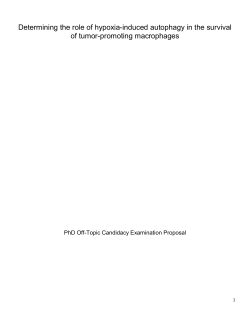 Determining the role of hypoxia-induced autophagy in the survival of