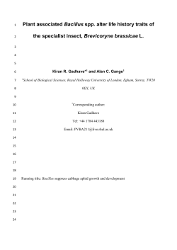 Figure 2 - Royal Holloway, University of London