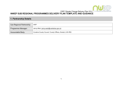 nwiep delivery plan capital (dragon factor