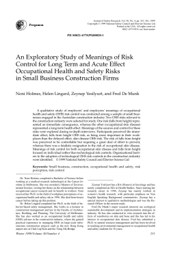 An Exploratory Study of Meanings of Risk Control for Long Term and