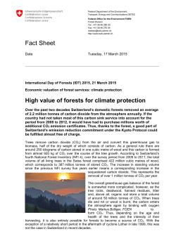 High value of forests for climate protection