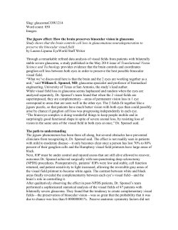 Jigsaw Paper - Sponsel Foundation