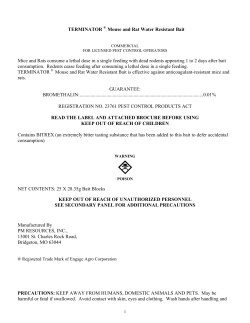 TERMINATOR ® Mouse and Rat Water Resistant