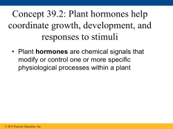 Plant hormones help coordinate growth, development, and
