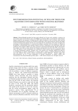 phytoremediation potential of willow trees for aquifers