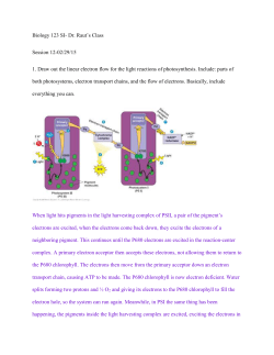 Biology 123 SI- Dr. Raut`s Class Session 12