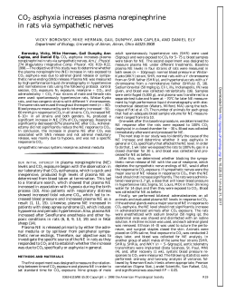 CO2 asphyxia increases plasma norepinephrine in rats via