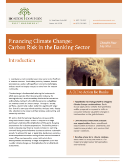 Financing Climate Change: Carbon Risk in the