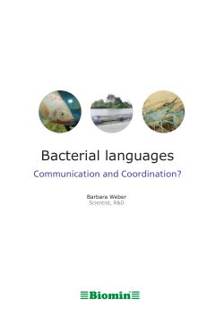 Bacterial languages