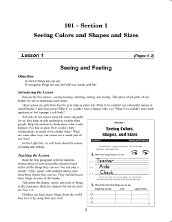 Section 1 Seeing Colors and Shapes and Sizes Seeing and Feeling
