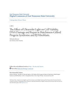 The Effect of Ultraviolet Light on Cell Viability, DNA Damage and