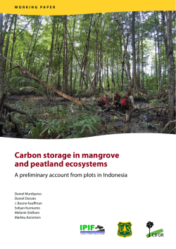 Carbon storage in mangrove and peatland ecosystems